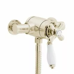 Heritage Bathrooms Heritage - Ryde Dual Control Exposed Mini Valve With Bottom Outlet - Vintage Gold - SLA06