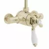 Heritage Bathrooms Heritage - Ryde Dual Control Exposed Mini Valve With Top Outlet - Vintage Gold