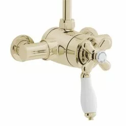 Heritage Bathrooms Heritage - Ryde Dual Control Exposed Mini Valve With Top Outlet - Vintage Gold