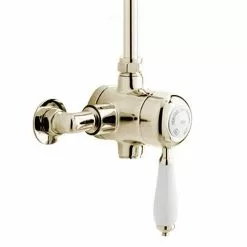 Heritage Bathrooms Heritage - Ryde Single Control Exposed Mini Valve With Top Outlet - Vintage Gold