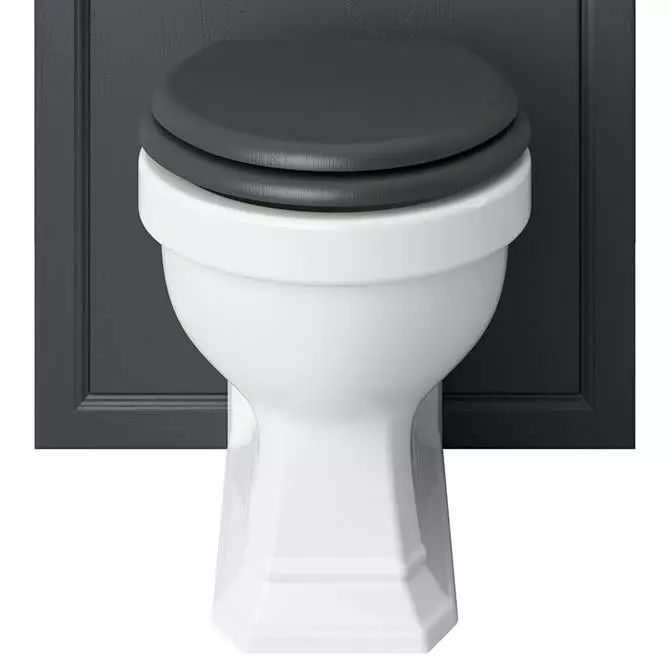 Heritage Bathrooms Heritage - Granley Back To Wall WC Pan 1 Heritage Bathrooms Heritage - Granley Back To Wall WC Pan