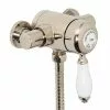 Heritage Bathrooms Heritage - Ryde Single Control Exposed Mini Valve With Bottom Outlet - Vintage Gold