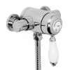 Heritage Bathrooms Heritage - Ryde Single Control Exposed Mini Valve With Bottom Outlet - Chrome