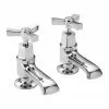 Heritage Bathrooms Heritage - Gracechurch Basin Pillar Taps - TGRDC00